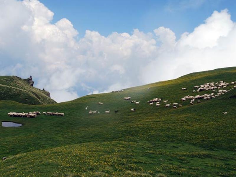 Pandey Lodge Buin Экстерьер фото
